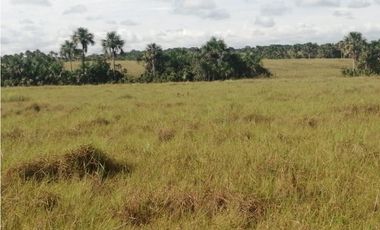 VENDO O PERMUTO FINCA VICHADA DE 1.270 HECTARIAS