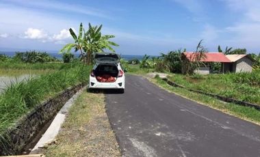 Dijual Tanah Sawah View Pantai Di Gelgel Klungkung Bali