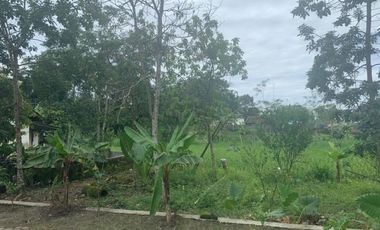 HEBOH! RUMAH MEWAH HARGA MURAH DI SLEMAN DEKAT JALAN MAGELANG