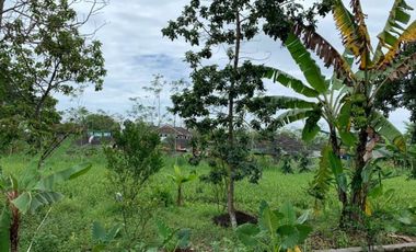 HEBOH! RUMAH MEWAH HARGA MURAH DI SLEMAN DEKAT JALAN MAGELANG