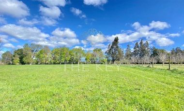 Parcela en Venta en Camino Angol - Renaico