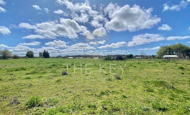 Parcela en Venta en Camino Angol - Renaico