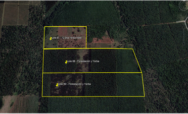 PTO. ESPERANZA - CHACRA EN VENTA