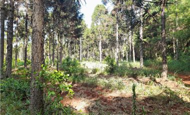 PTO. ESPERANZA - CHACRA EN VENTA