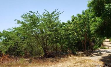 lote en venta en villas de palmarito. Cod V12877