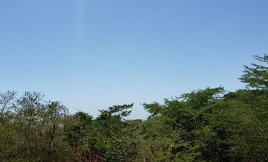 lote en venta en villas de palmarito. Cod V12877