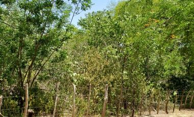 lote en venta en villas de palmarito. Cod V12877