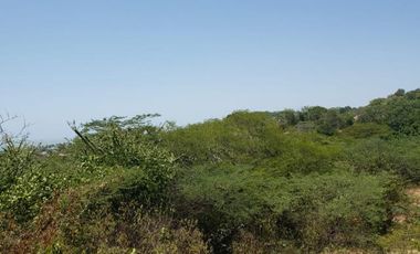 lote en venta en villas de palmarito. Cod V12877