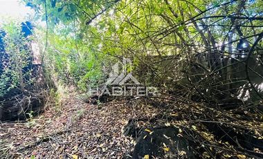 Sitio en Venta en COD36717 Avenida Alemania