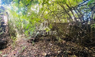 Sitio en Venta en COD36717 Avenida Alemania