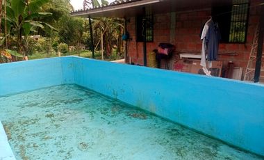 FINCA EN VENTA SECTOR SANTA ROSA DE CABAL RISARALDA