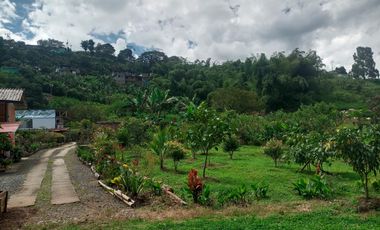 FINCA EN VENTA SECTOR SANTA ROSA DE CABAL RISARALDA
