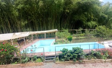 FINCA EN VENTA SECTOR SANTA ROSA DE CABAL RISARALDA