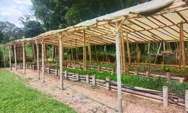FINCA EN VENTA SECTOR SANTA ROSA DE CABAL RISARALDA