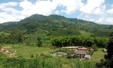 FINCA EN VENTA SECTOR SANTA ROSA DE CABAL RISARALDA
