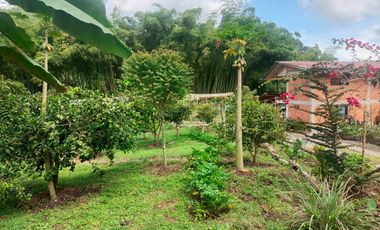 FINCA EN VENTA SECTOR SANTA ROSA DE CABAL RISARALDA