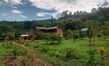 FINCA EN VENTA SECTOR SANTA ROSA DE CABAL RISARALDA