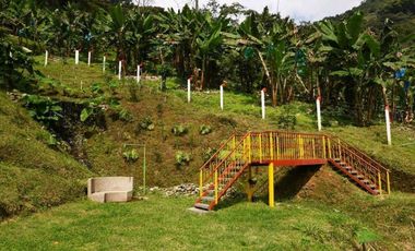 Finca En Buenavista Quindío
