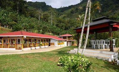 Finca En Buenavista Quindío