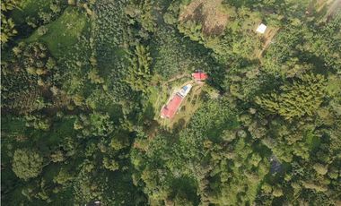 Finca En Buenavista Quindío