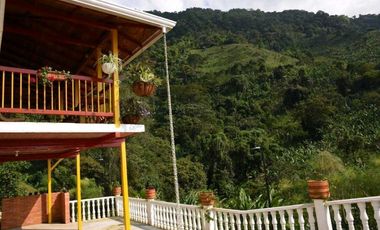 Finca En Buenavista Quindío