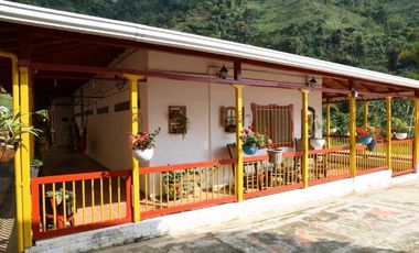 Finca En Buenavista Quindío