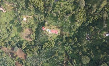 Finca En Buenavista Quindío