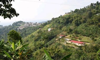 Finca En Buenavista Quindío
