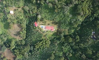 Finca En Buenavista Quindío