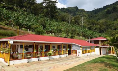 Finca En Buenavista Quindío