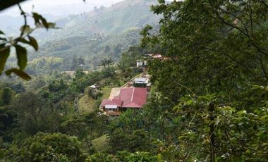 Finca En Buenavista Quindío