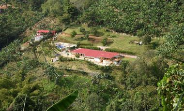 Finca En Buenavista Quindío