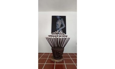 RESIDENCIA EN VENTA A ORILLA DEL LAGO 