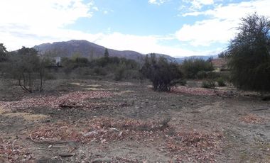 Sitio en Venta en Chicureo Centro