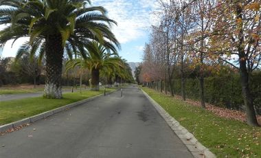 Sitio en Venta en Chicureo Centro