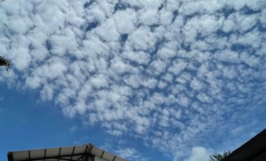 finca en venta en anapoima. Cod V4442