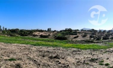 Parcela en venta en Melipilla