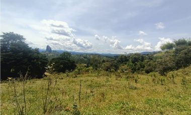 Venta de lote campestres Guatapé Antioquia