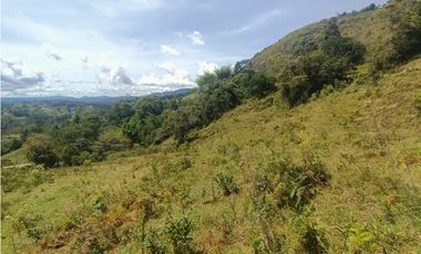 Venta de lote campestres Guatapé Antioquia