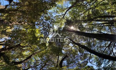 Sitio en Arriendo en Ruta Villarrica a Pucón con playa orilla lago Villarrica