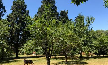 Quinta 6 Ambientes En Venta - Francisco Alvarez, Moreno