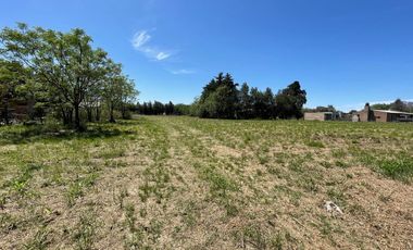 VENTA - LOTE DE 1600 M2 - IBARLUCEA