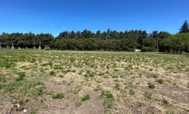 VENTA - LOTE DE 1600 M2 - IBARLUCEA