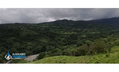 Atención agro inversionista! Vendo preciosa finca de 28 ha en Gualaca