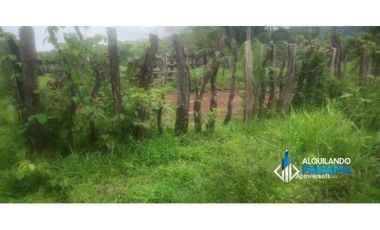 Atención agro inversionista! Vendo preciosa finca de 28 ha en Gualaca