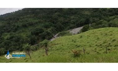 Atención agro inversionista! Vendo preciosa finca de 28 ha en Gualaca