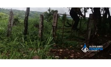 Atención agro inversionista! Vendo preciosa finca de 28 ha en Gualaca