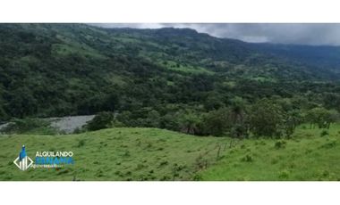 Atención agro inversionista! Vendo preciosa finca de 28 ha en Gualaca