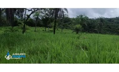 Atención agro inversionista! Vendo preciosa finca de 28 ha en Gualaca
