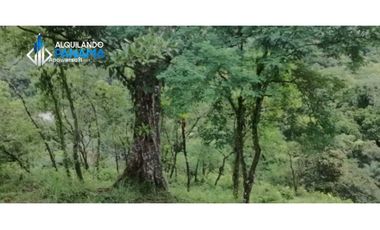 Atención agro inversionista! Vendo preciosa finca de 28 ha en Gualaca